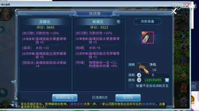 14124玉洗极品项链【0112】CC17-大米